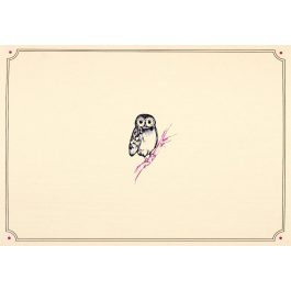 Peter Pauper Press Note Cards Owl Portrait