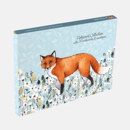 The Gifted stationery Co Notecard Collection Foxy Tales