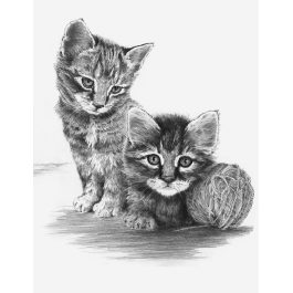 Royal & Langnickel Sketching Made Easy Set Kittens with Ball