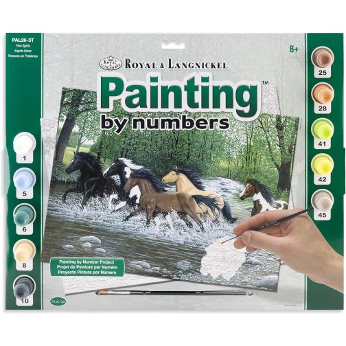 Royal & Langnickel Painting by Numbers Adult Free Spirits