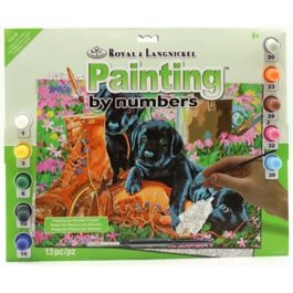 Royal & Langnickel Painting by Numbers Junior Large Trouble in The Garden