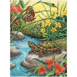 Royal & Langnickel Painting by Numbers Junior Small Red Eared Slider