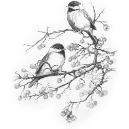 Royal & Langnickel Sketching Made Easy Set Chickadees Birds