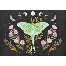 Peter Pauper Press Note Cards Luna Moth