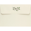 Peter Pauper Press Thank You Note Cards Native Botanicals - Image 2